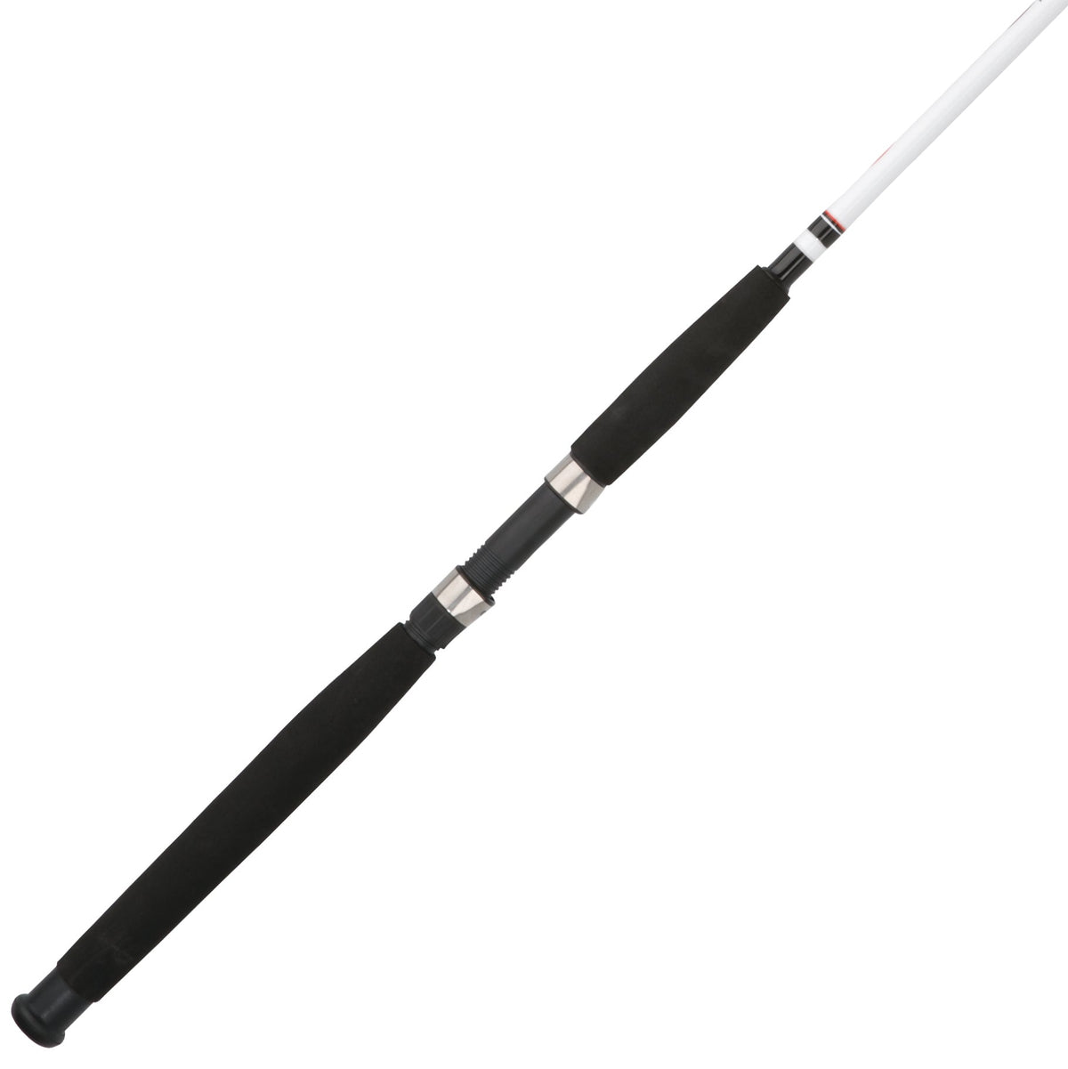 Big Game™ Spinning Rod
